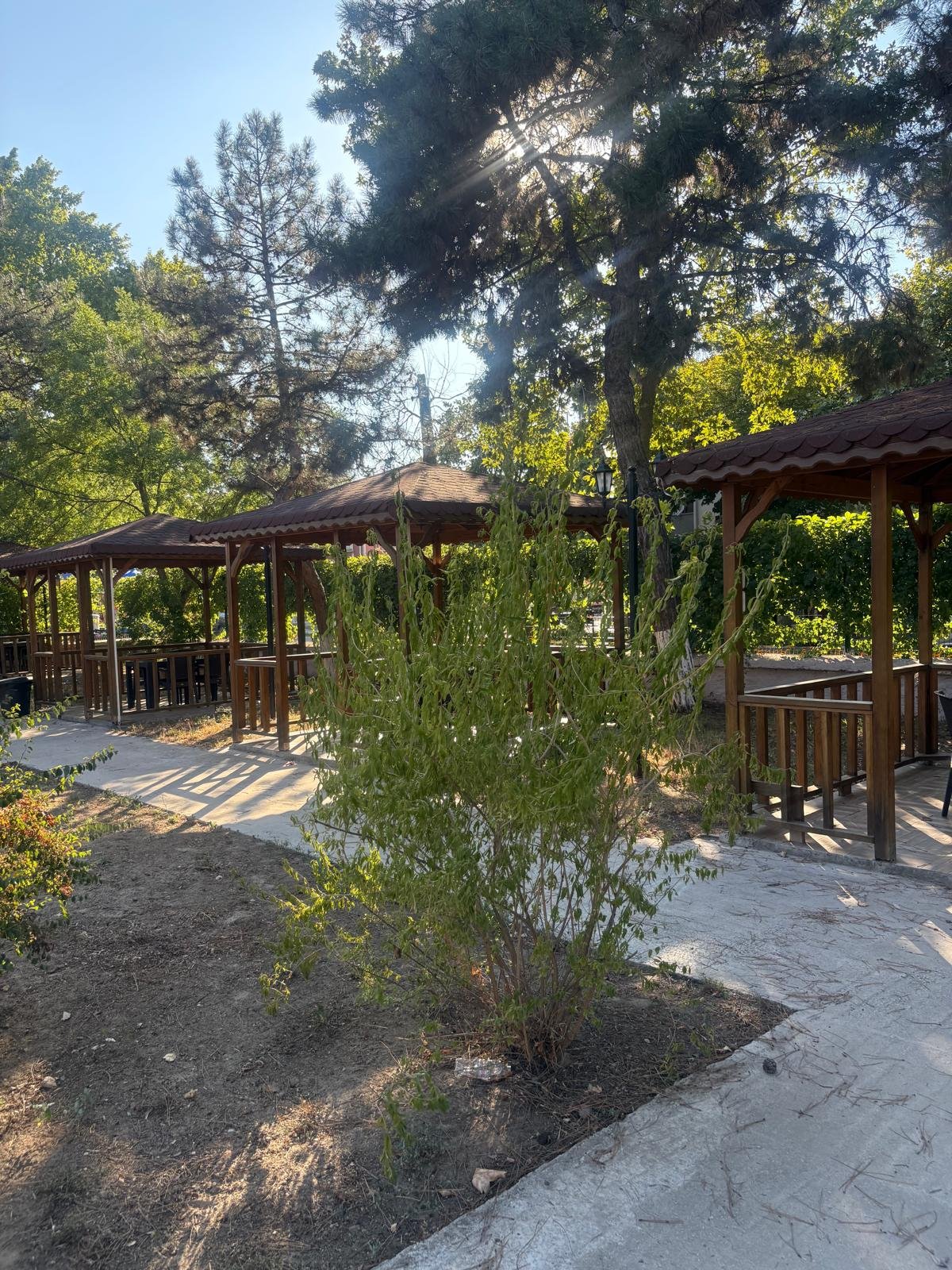 Edirne Gastronomi Akademisi Resimleri